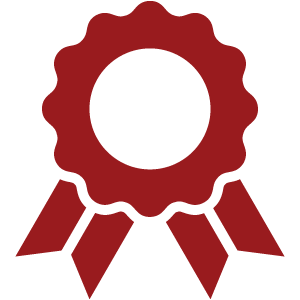 impact icon