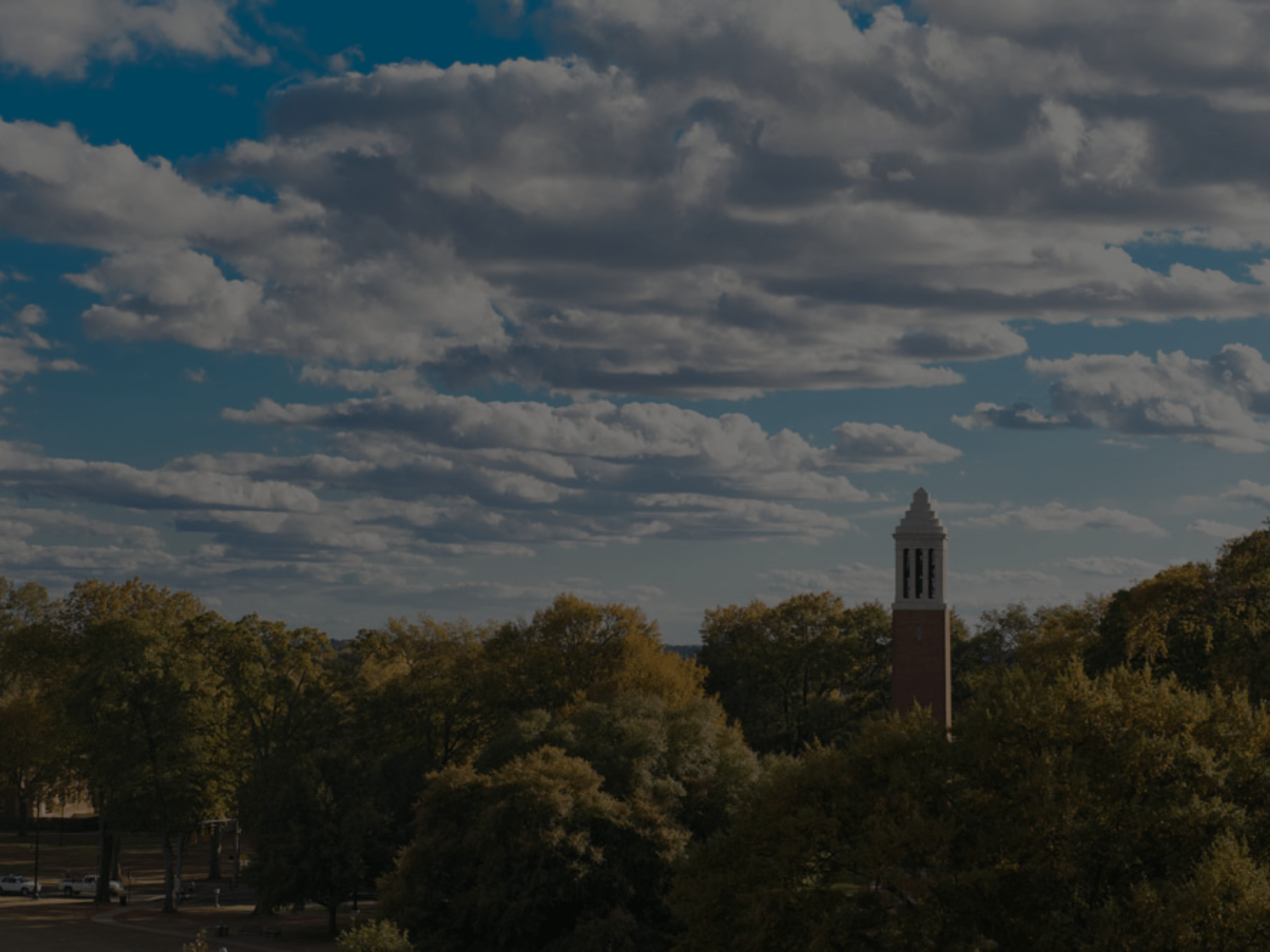 an aerial shot of trees on the quad and denny chimes