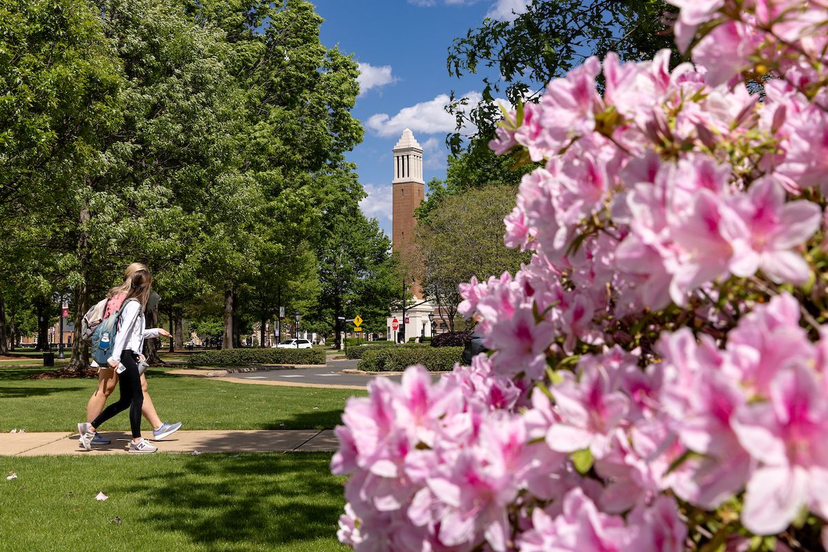 two students walk in front of a bush of pink flowers with denny chimes in the background