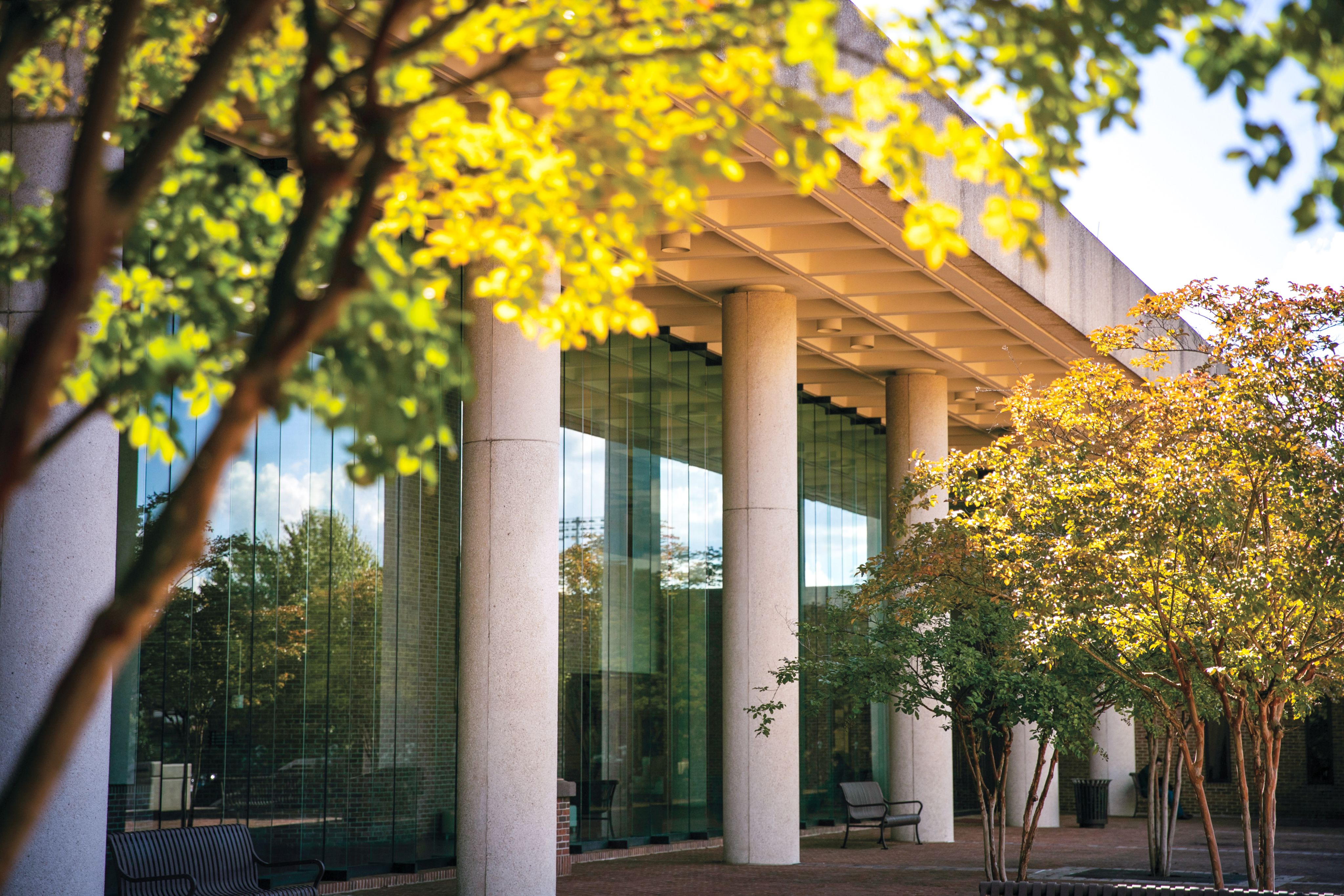 Outdoor photo of The University of Alabama School of Law building