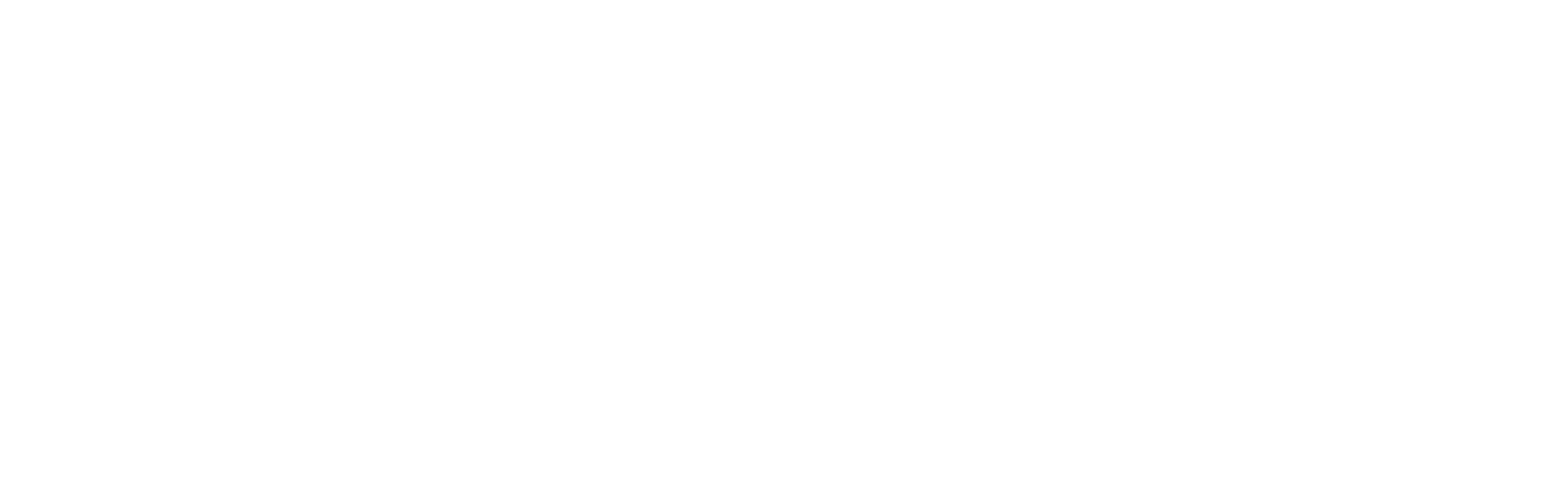 DSC Logo