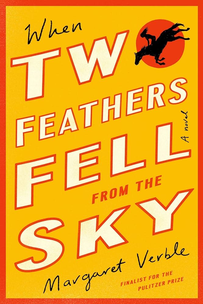 The book cover of When Two Feathers Fell from the Sky.