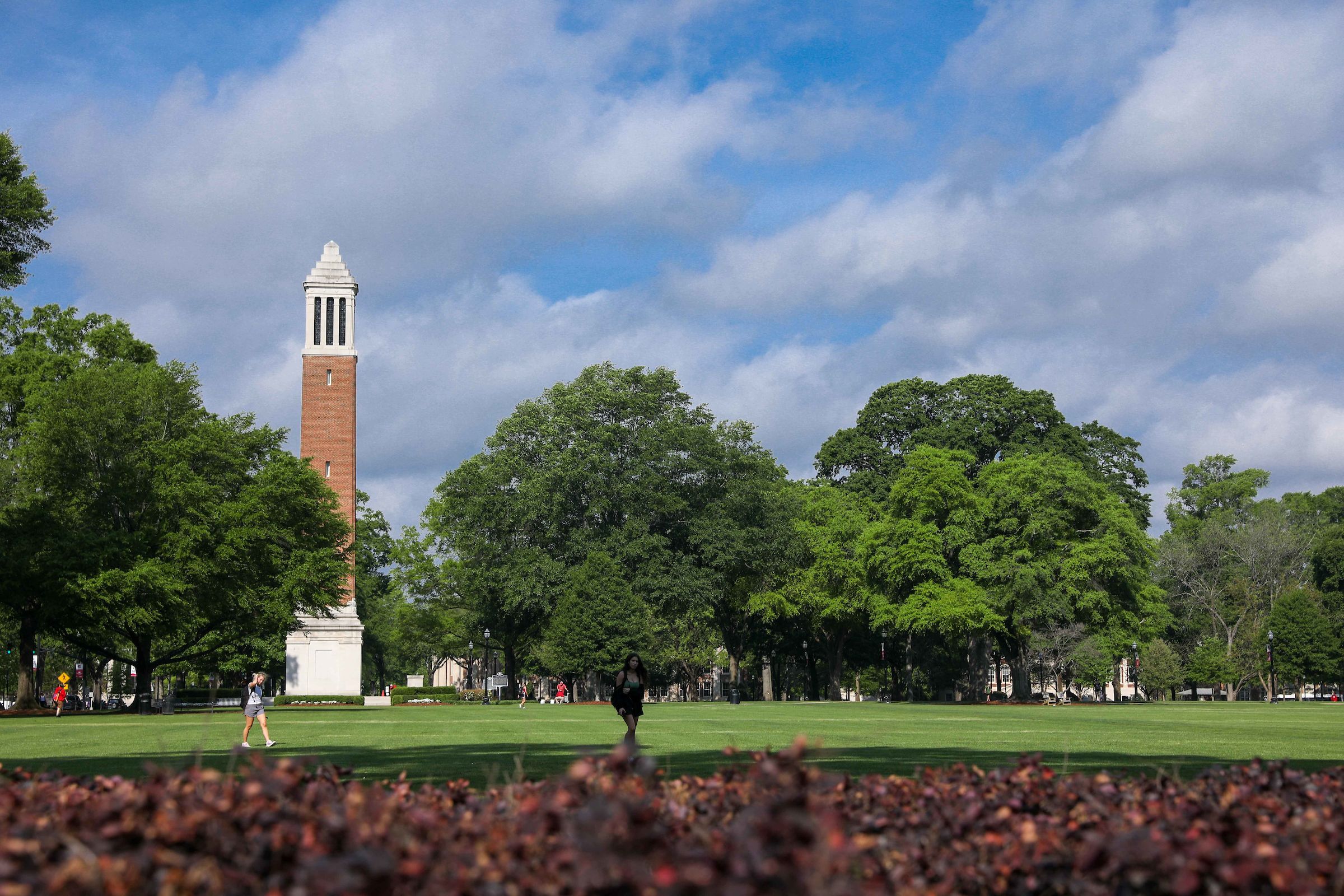 Denny Chimes and the quad on a sunny day