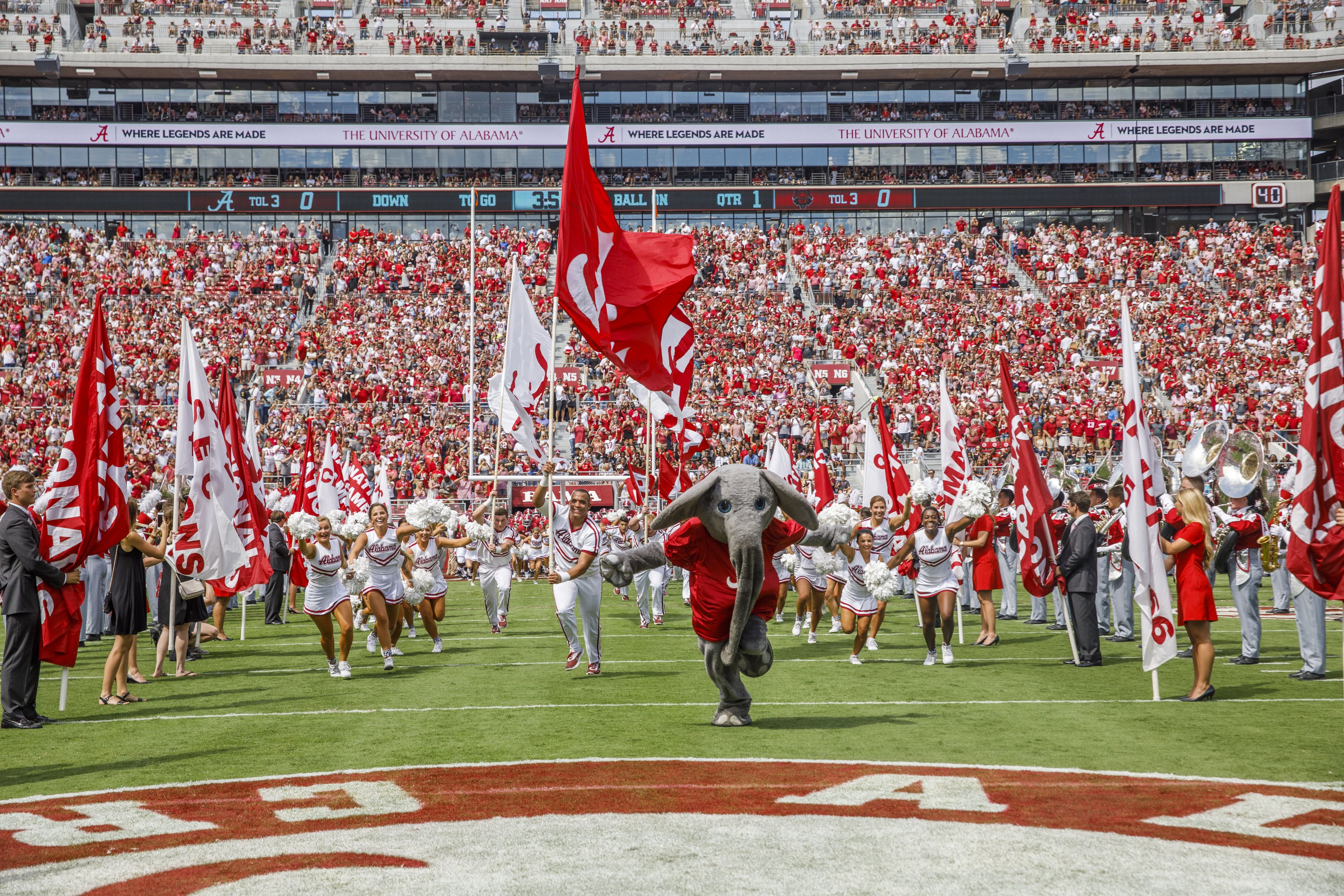 Big Al leads the cheerleaders and football team onto the field in Bryant-Denny Stadium