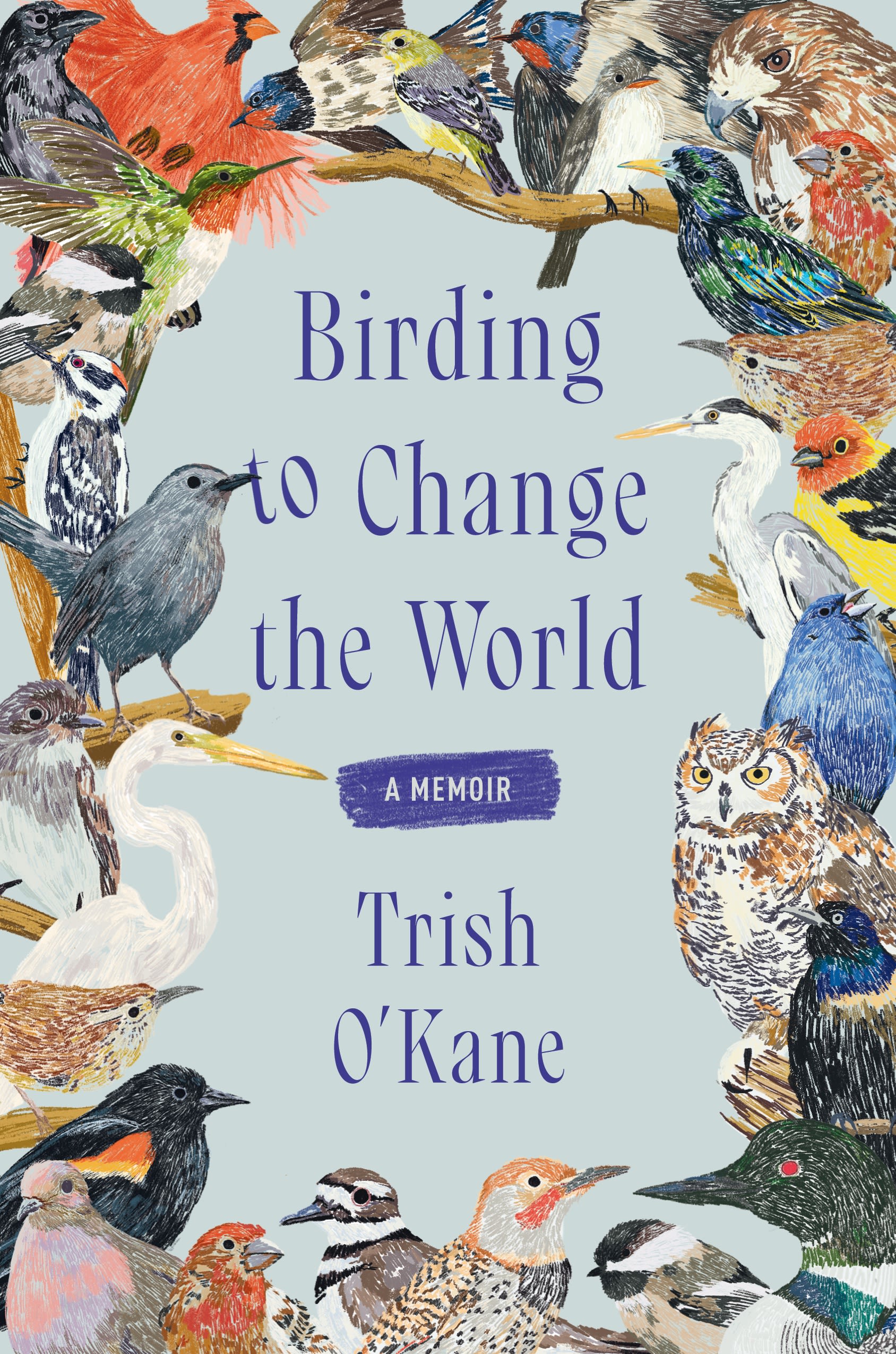 The book cover of "Birding to Change the World: A Memoir" by Trish O'Kane.